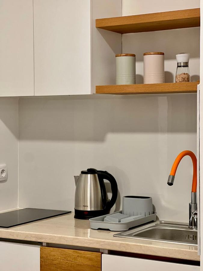 Dani Lux Belgrade Center Studio Apartment Екстер'єр фото
